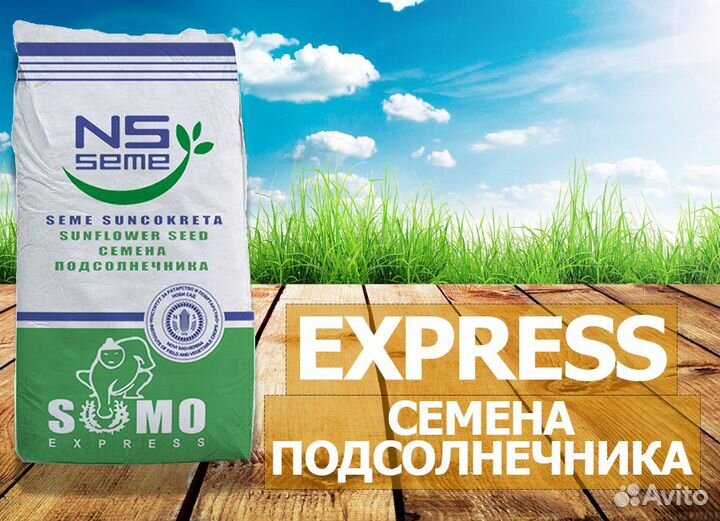 Семена подсолнечника нсx 6006 (экспресс)