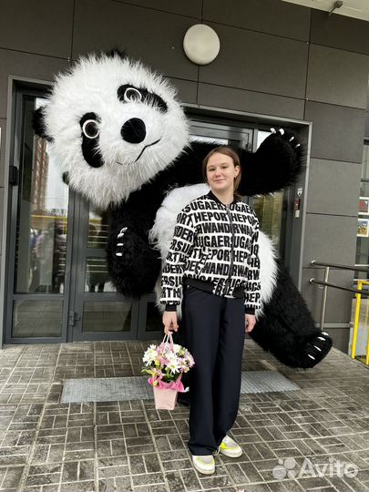 Панда поздравление