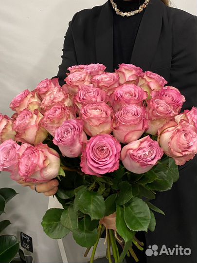 Розы пионовидные сорта Ginette