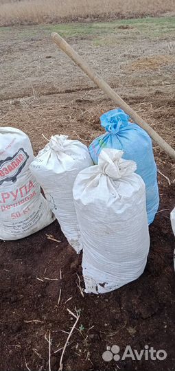 Отдам перегной