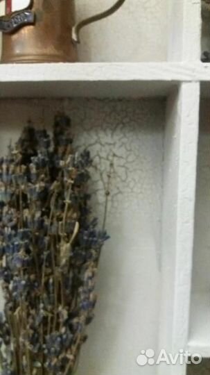 Голландская миниатюра