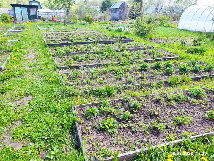 Дача 23 м² на участке 4 сот.