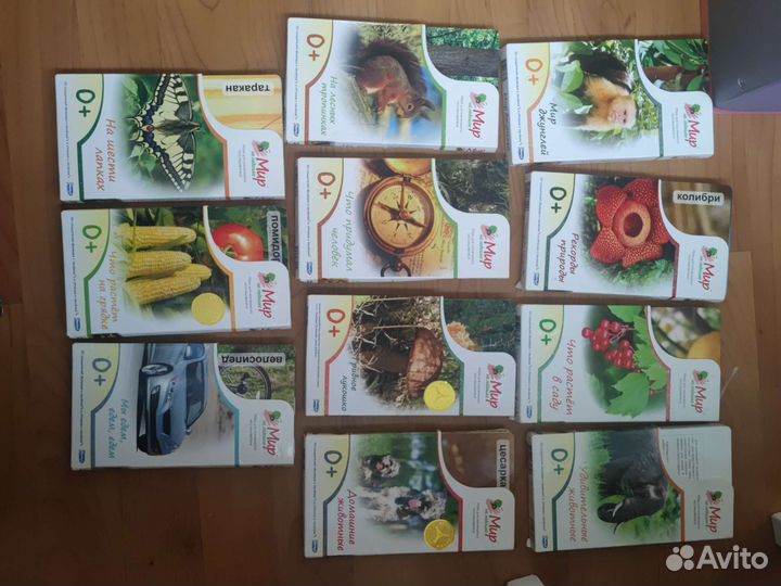 Мир на ладошке карточки Умница