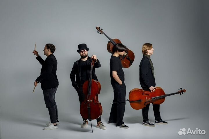 Музыкальное сопровождение праздника,живая музыка