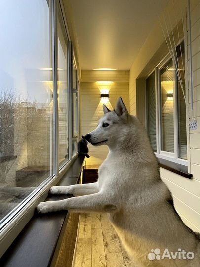 Отделка балкона