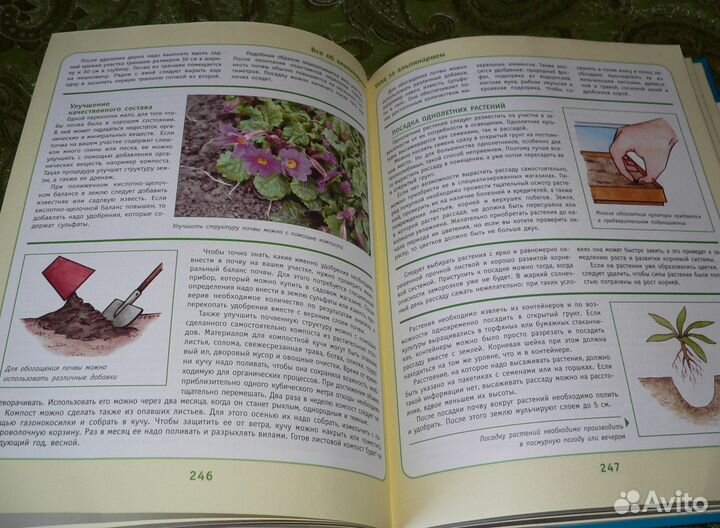 Все об альпинарии