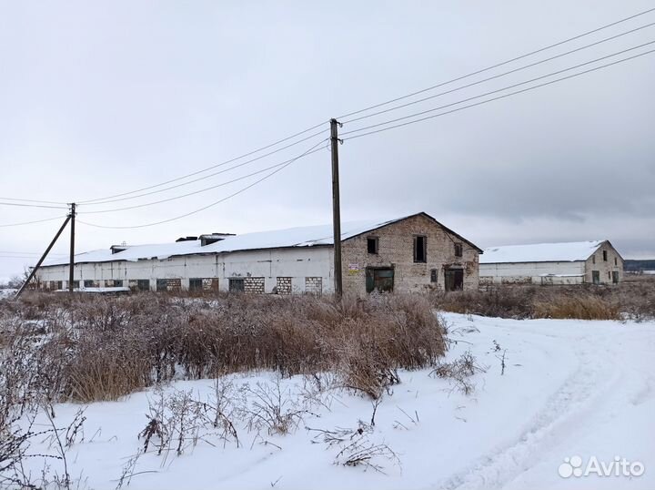 Животноводческая ферма