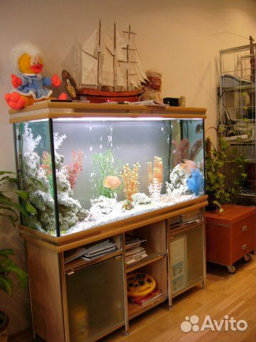 Обслуживание, чистка аквариумов и террариумов