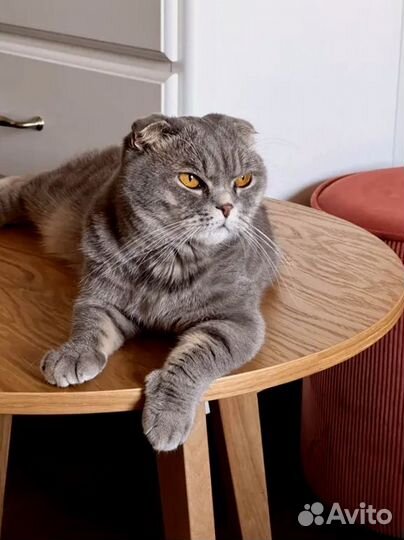 Придиванный столик