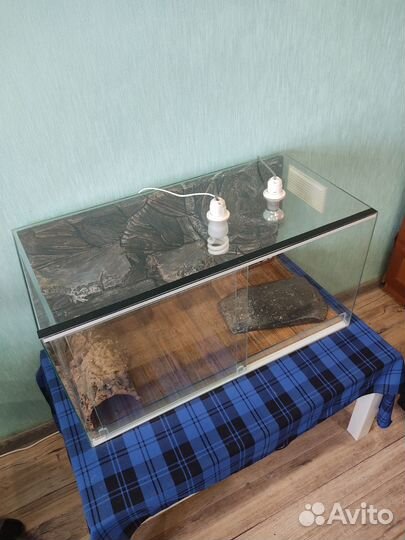 Террариум для рептилий бу