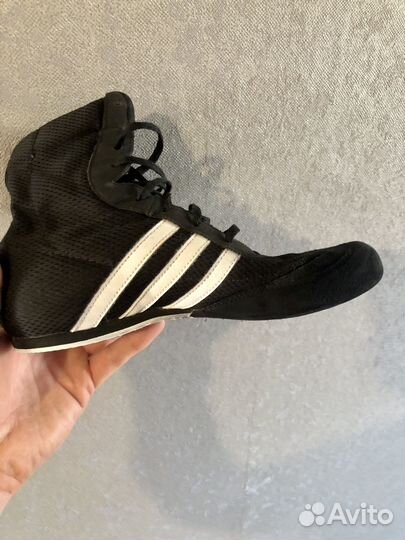 Боксерки adidas box hog 2