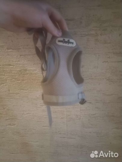 Воротник, шлейка+поводок, миска, игрушка для собак