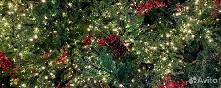 Банкротство физических лиц