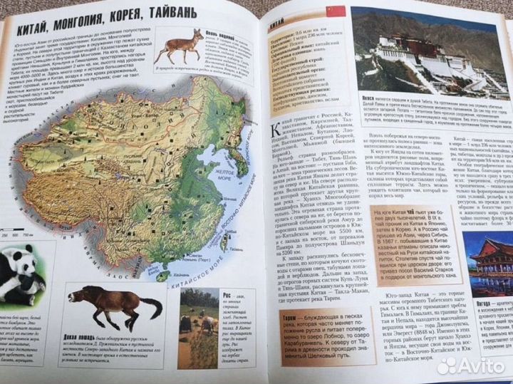 Страны мира детская энциклопедия