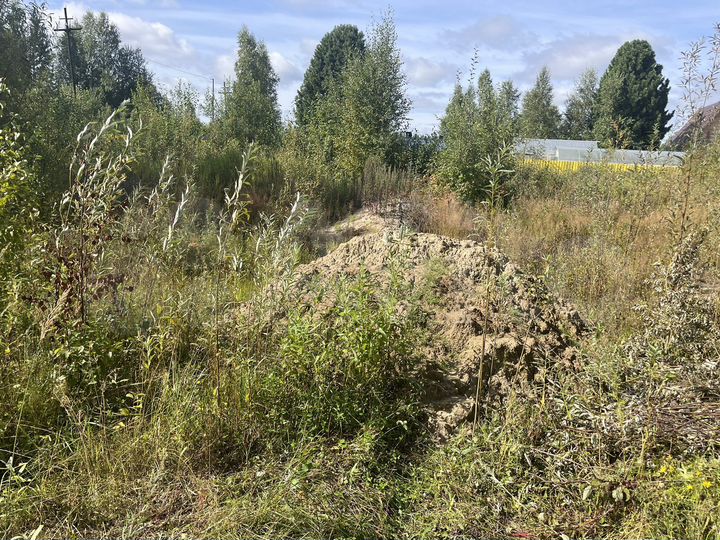 Участок 6 сот. (СНТ, ДНП)