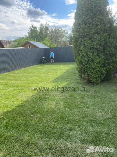 Укладка рулонного газона