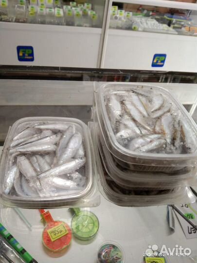 Тюлька для рыбалки