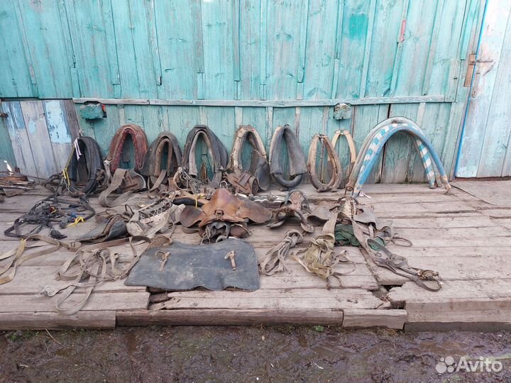 Конная амуниция