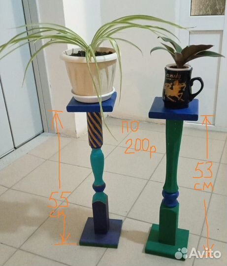 Комнатные растения: Хлорофитум рэо