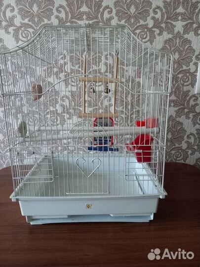 Клетка для птиц полный комплект