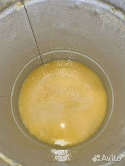 Свежий мед 2023