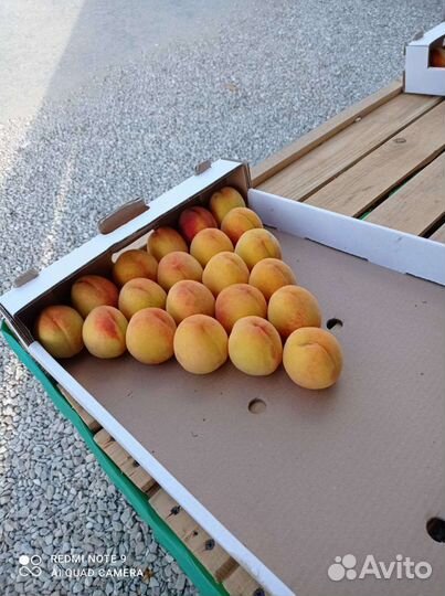 Персик из своего сада