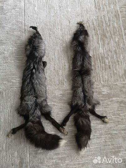 Шкурка лисы чернобурой