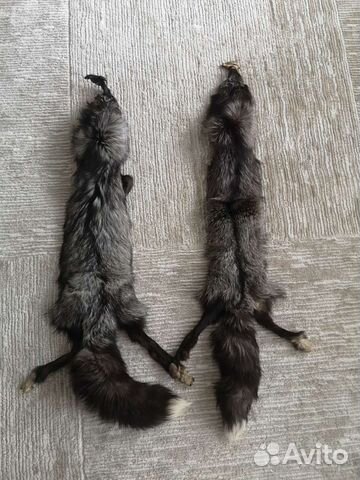 Шкурка лисы чернобурой