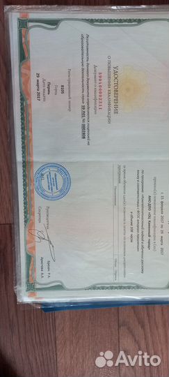 Репетитор по русскому языку