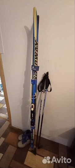 Беговые лыжи