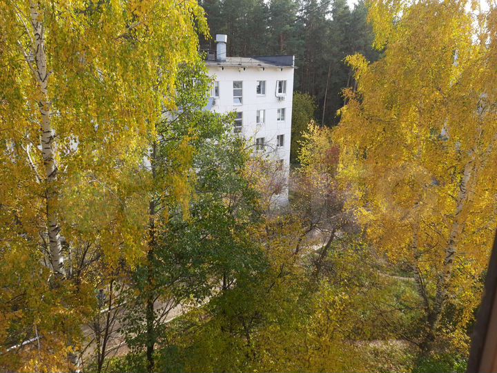 1-к. квартира, 30 м², 5/5 эт.