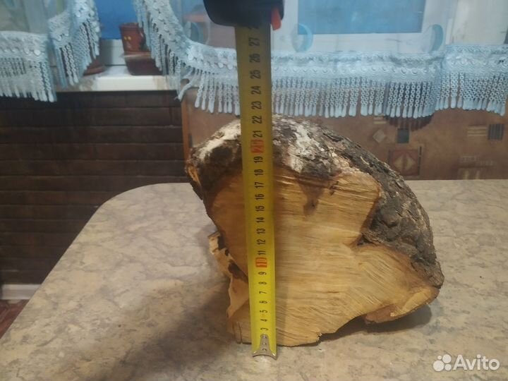 Сувель березовый