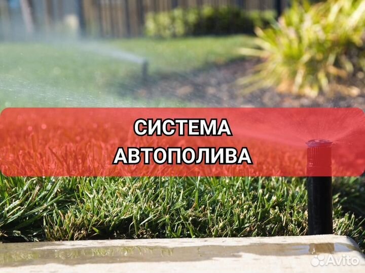 Рулонный газон элитный