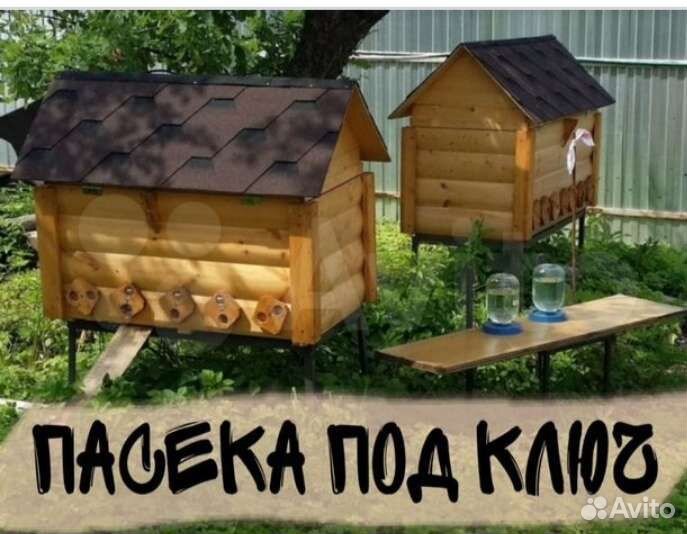 Пасека под ключ