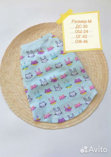 Одежда для кошек, сфинксов