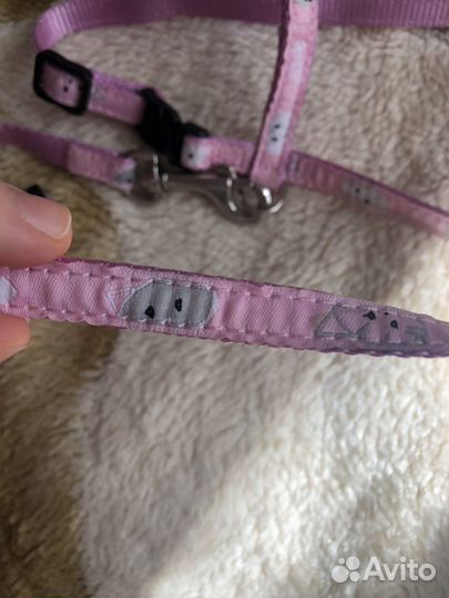 Шлейка для кошки