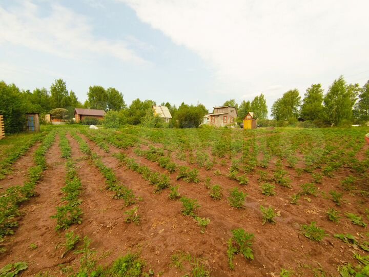 Участок 10 сот. (ИЖС)