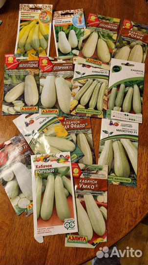 Рассада кабачков