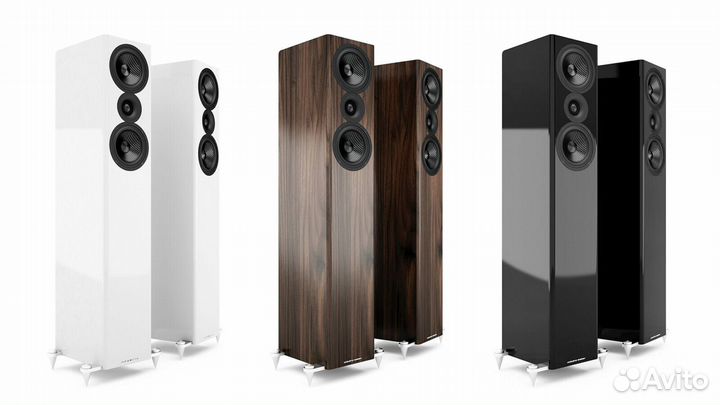 Напольная акустика Acoustic Energy ае 509