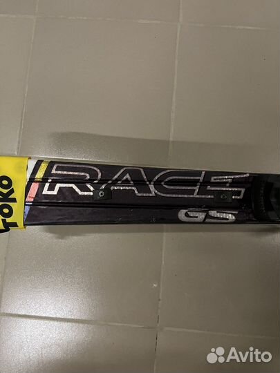 Горные лыжи