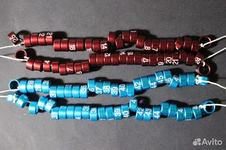 Кольца для канареек попугаев