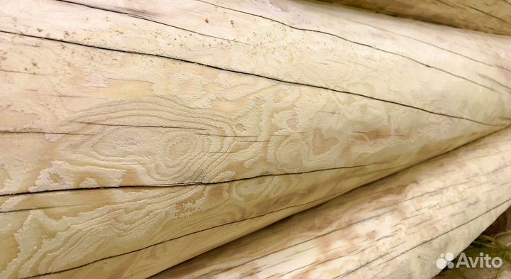 Сруб из дикого бревна