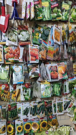 Семена овощей