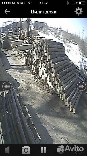 Лес пиловочник