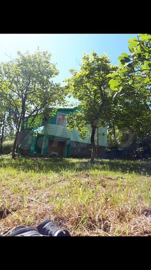 Участок 6,9 сот. (СНТ, ДНП)