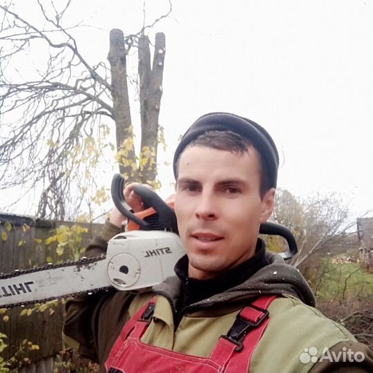 Покос травы, спил деревьев