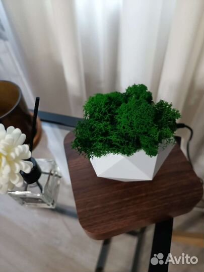 Левитирующий горшок