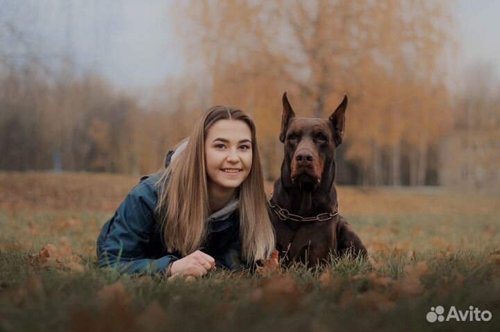 Услуги кинолога