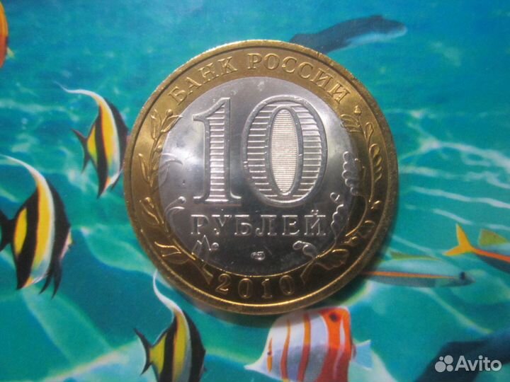 Чечня, ямал, пермский - 2010