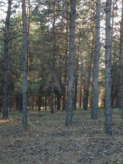 Дача 34,5 м² на участке 6 сот.